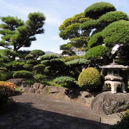 Japanese garden