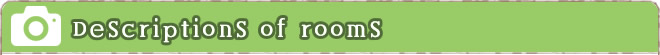 Descriptions of rooms